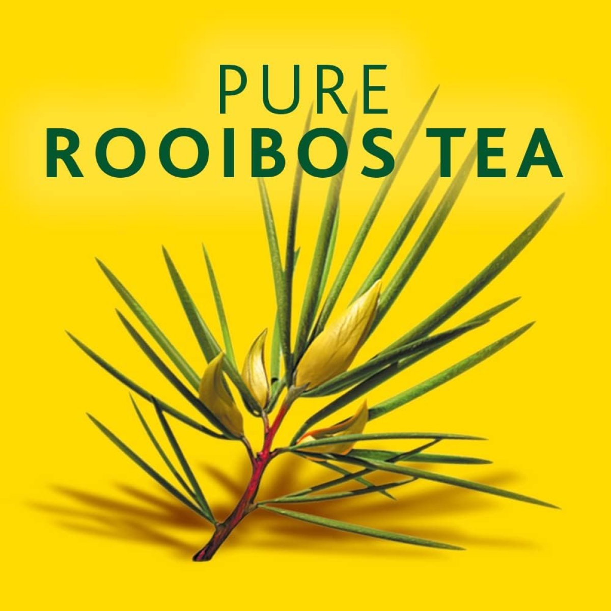 Freshpak Rooibos 2